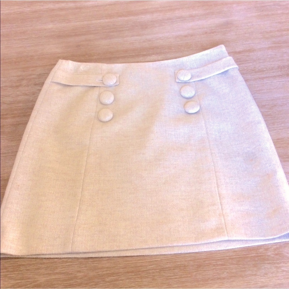 J. Crew Skirt